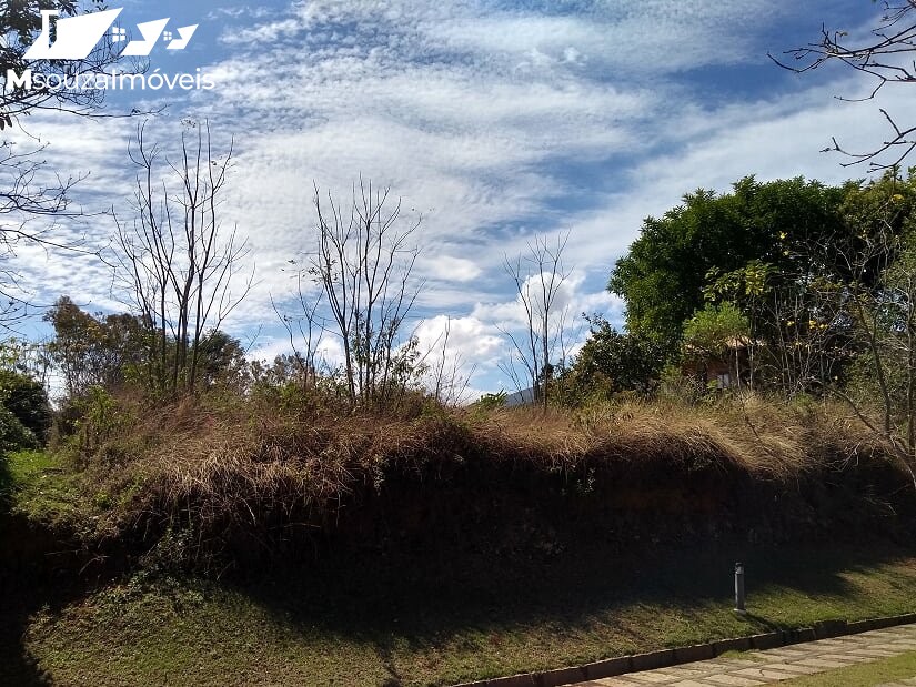 Terreno   Venda  Itaipava - Petrpolis/RJ [ Cd.: MS0029 ]