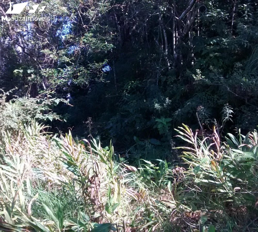 Terreno   Venda  Itaipava - Petrpolis/RJ [ Cd.: MS0033 ]